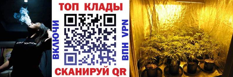 Наркошоп купить Бошки Шишки  Мефедрон  КОКАИН  Alpha PVP  ГАШИШ  Зеленогорск