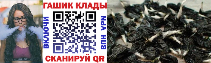 Купить закладки  Зеленогорск  Гашиш VHQ 