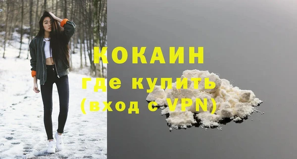 дживик Краснослободск