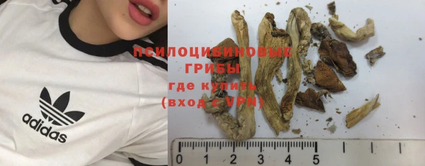 дживик Краснослободск