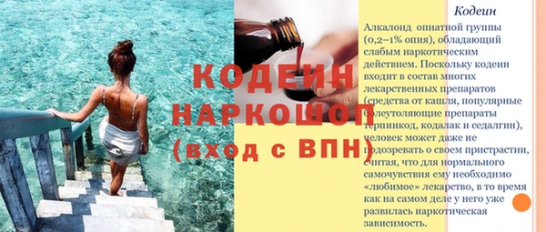 дживик Краснослободск