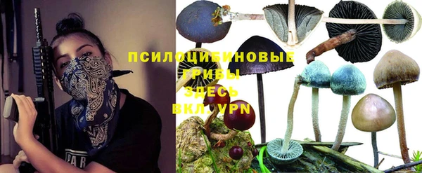 ALPHA PVP Красноперекопск