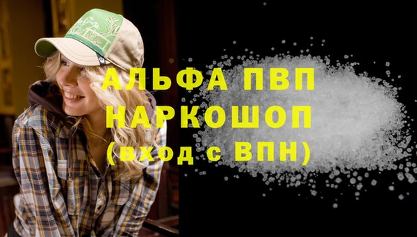 ECSTASY Кукмор