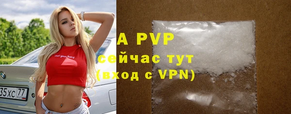 дживик Краснослободск
