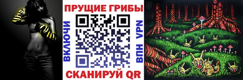 Купить закладки  Зеленогорск  Галлюциногенные грибы мицелий 